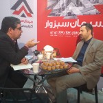 Tehran's Fair (2)